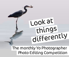 Enter the competitions on our photography forum.