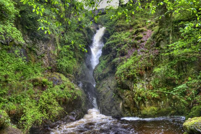 aira force