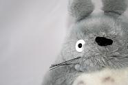 Totoro