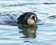 Having a swim