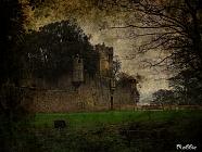 witton castle