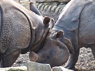 Edinburgh Zoo