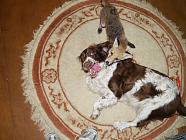 Charlie & Poppy