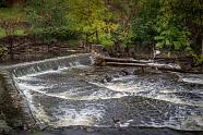 waterfalls with bucket