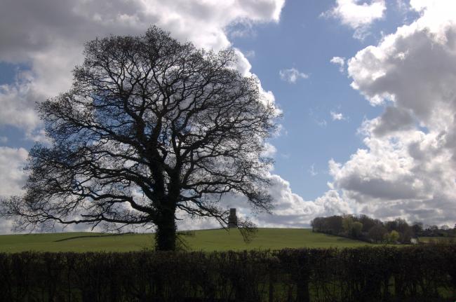 View of Horton Tower, in the distance, silouhetted by lovely old tree.