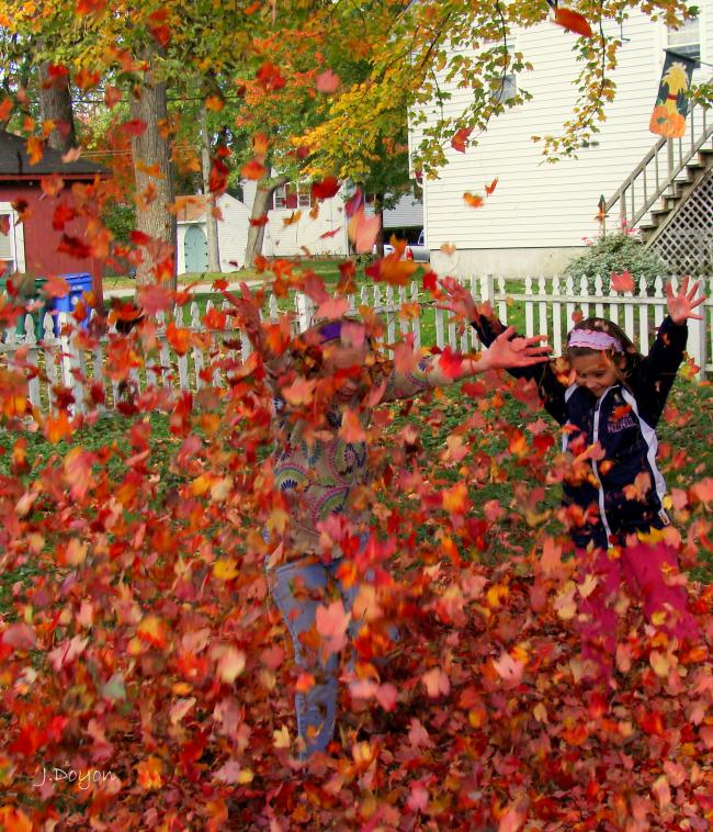 Playing in the fallen leaves