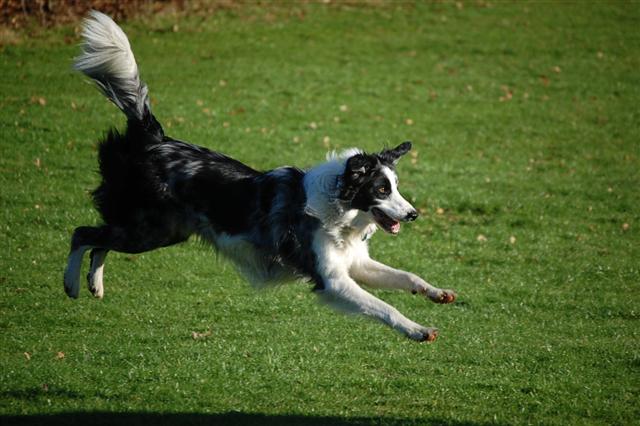 DSC 0111 (Small)