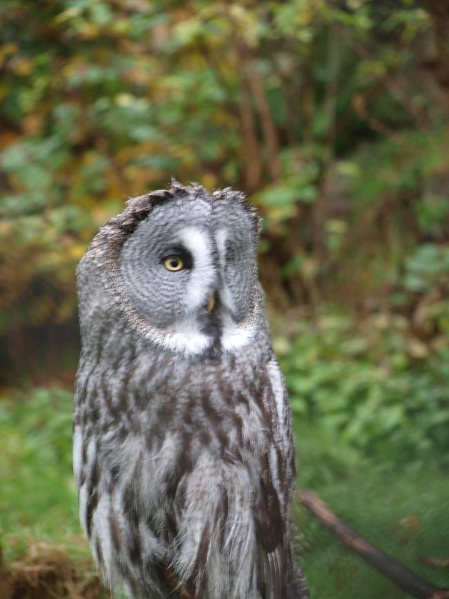 Edinburgh Zoo