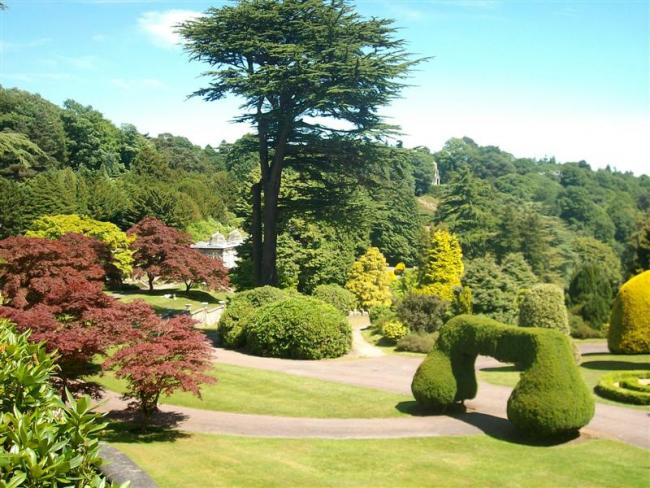 Alton towers gardens.