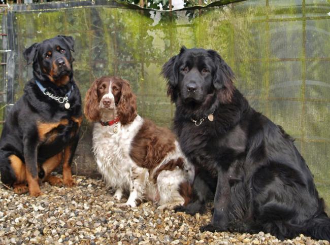 Bruce, Poppy & Megan