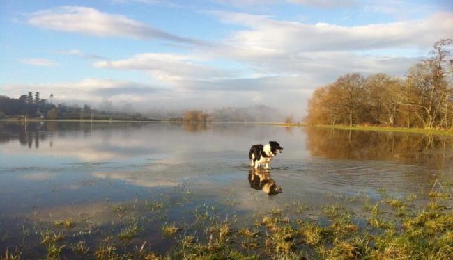 Len in floods (taken with IPhone 4 but one of my Faves )
