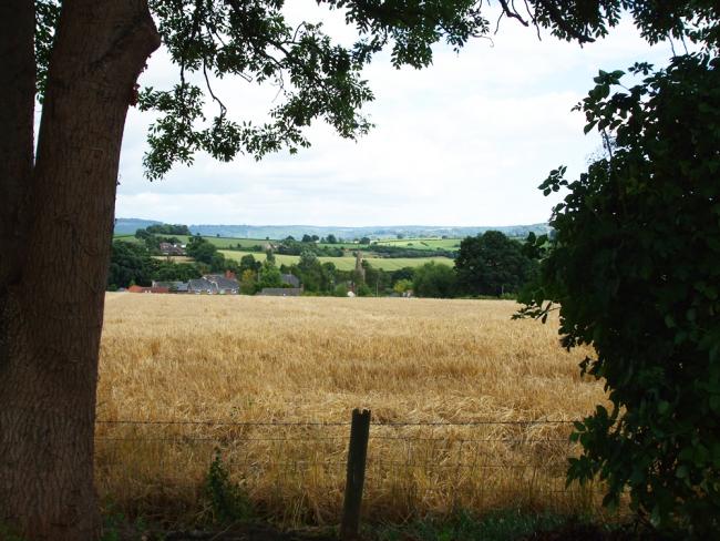 framed view