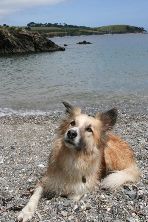 Bo at Trebah