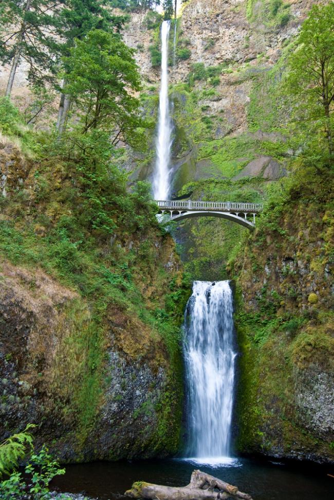 Multnomah Falls
on the Columbia River Gorge, OR