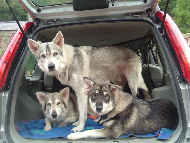 Three in a car