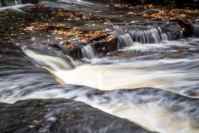 smooth falls with leaves