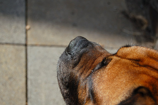 Me fooling around taking a pic of Rocky